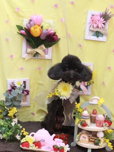 20230301梅ちゃん